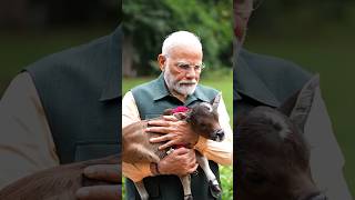 PM Modi welcomes ‘Deepjyoti’ a new member in the family at 7 Lok Kalyan Marg  shorts [upl. by Llertrac]