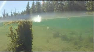 Fishing Hells Canyon FT Imnaha River [upl. by Chee430]