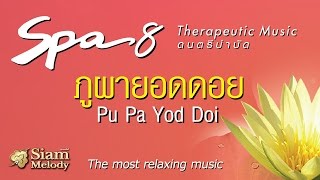 ภูผายอดดอย  Spa Music 8 ดนตรีบำบัด เพลงสปา Official Music [upl. by Gothard]