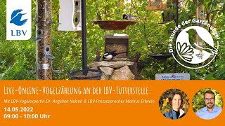 LiveOnlineZählung zur Stunde der Gartenvögel 2022 [upl. by Tiossem]