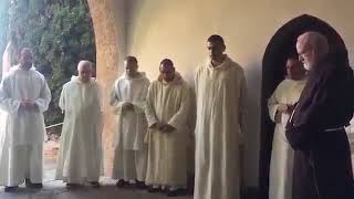 Carthusian Monks Chant for Cardinal O’Malley [upl. by Zumstein389]