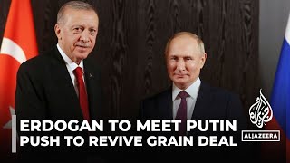 What’s at stake in the upcoming ErdoganPutin meeting [upl. by Robbins]