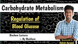 Regulation of Blood Glucose  Carbohydrate Metabolism  Biochemistry Lectures [upl. by Irec]