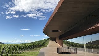 Antinori nel Chianti Classico un tempio per vivere il vino [upl. by Hepza]