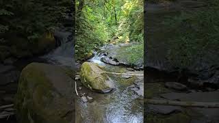 Homesteadhiker on a log over a creek [upl. by Issie538]