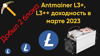 ANTMINER L3 L3 доход в марте 2023 года [upl. by Yddub]