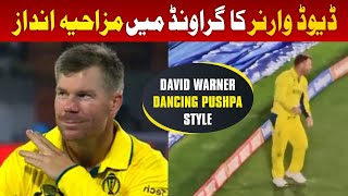 David Warner funny Pushpa Movie Dance in Ground  Srivalli Song  warner [upl. by Vikky167]