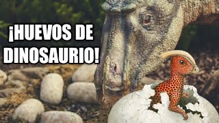 🥚 PALEONTOLOGÍA🦖 Nidos de dinosaurios en el yacimiento 🦕Huevos y embriones [upl. by Robers]