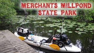 Merchants Millpond State Park [upl. by Nancee]