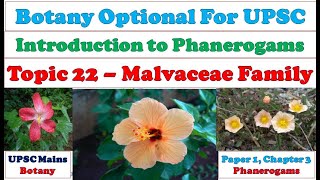 Malvaceae Family – Systematic Position Field Recognition Family Description Economic Importance [upl. by Endys]