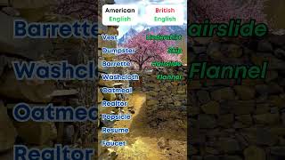 UK vs US English in 20 Seconds 🤔💭 [upl. by Rabi]