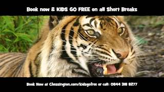 Chessington World of Adventure TV advert [upl. by Essila374]