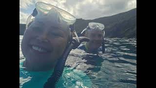 molokini snorkeling [upl. by Emelun]