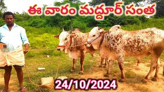 ఈ వారం మద్దూర్ సంతలో ఎద్దుల ధరలు Today cattle prices in maddur cattle market 24102024 [upl. by Barthel]