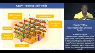 MCAT® Prokaryotes Classification and Structure  Part 3 – Bacterial Cell Walls [upl. by Riamu141]