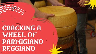 Cracking A Wheel Of Parmigiano Reggiano [upl. by Aramad]