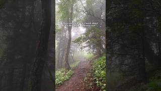 This Blue Ridge Parkway trail is a HIDDEN GEM ✨ asheville northcarolina blueridgeparkway [upl. by Sill]