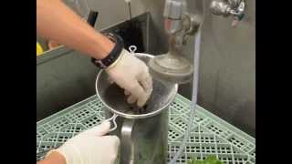 Extraction of Nematodes from Root Tissue [upl. by Geldens]