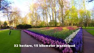 Keukenhof 2020 Nederlands [upl. by Aloeda]