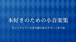 【本好きの下剋上】本好きのための小音楽集【Instrumental】 [upl. by Aidnahs]