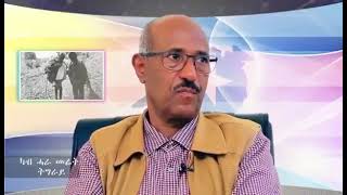 seyoum mesfin interview TDFmedia ስዩም መስፍን Tigray [upl. by Froemming]