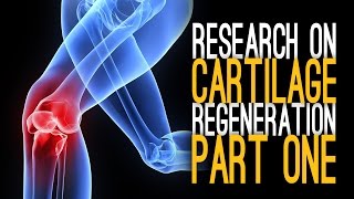 Cartilage Regeneration with Dr Zeng Part 1 [upl. by Hedveh]