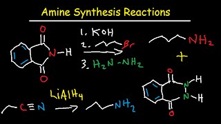 Amine Synthesis Reactions Organic Chemistry  Summary amp Practice Problems [upl. by Arihs]