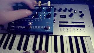 Night Sky  Strymon VS Minilogue  Korg [upl. by Hearsh]