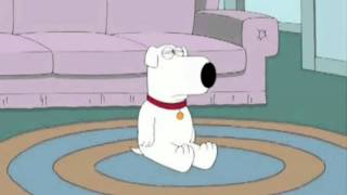 Family Guy  Brian Farts Himself awake HD [upl. by Ennoirb]