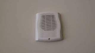 Fire Alarm  SpectrAlert Advance SPW Wall Speaker [upl. by Nareik]