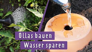 Bewässerung mit Ollas Praktische Gießhilfe selber bauen  MDR Garten [upl. by Aihseuqal]