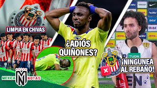 ¡6 O 7 BAJAS EN CHIVAS TRAS FRACASO  ¡¿Ame PIERDE A QUIÑONES  Chino Huerta NINGUNEA al Rebaño [upl. by Lleznov890]