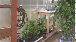 Harbor Freight 10 X 12 Greenhouse Modifications [upl. by Alick731]