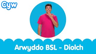 Arwyddo BSL  Diolch  BSL Signed Kids Song  Thankyou Welsh Cymraeg [upl. by Annoiek]