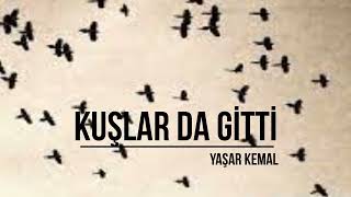 Kuşlar da Gitti  Yaşar Kemal  Sesli Kitap [upl. by Ehcrop]