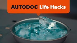 How to Quickly Defrost Car Windows  AUTODOC [upl. by Tedd]