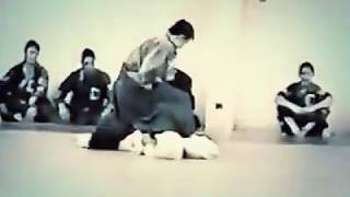 Одна из лучших демонстраций Дайторю Айкидзюдзюцу 1990 Daito Ryu Aikijujutsu best demonstration [upl. by Nnylylloh]