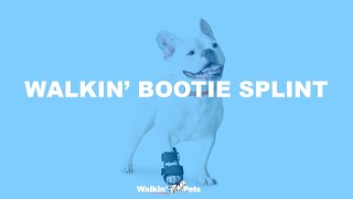 Walkin Bootie Splint for Pets  Stabilization for the Paw [upl. by Reginauld]