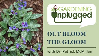 Gardening Unplugged  Out Bloom the Gloom with Dr Patrick McMillan [upl. by Rosenblum]