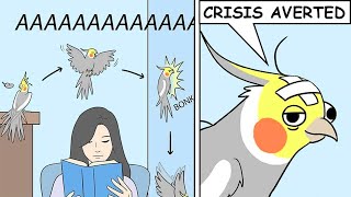 Funny Comics With Parrot Thought Twist 4  Parrot Comic Dub [upl. by Otreblif]