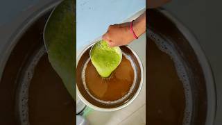 pani puri pani recipe 😋 minivlog shorts shortvideo youtubeshorts [upl. by Siraj]