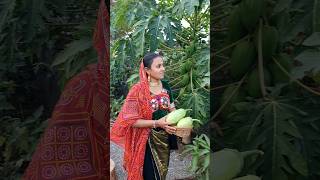 Traditional Kathiyawadi Village Food recipe food shorts [upl. by O'Malley]