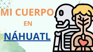 Aprende las partes de CUERPO HUMANO en NÁHUATL mexico nahuatl aprender lenguas [upl. by Suiravat]