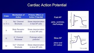 Antiarrhythmics Lesson 1  An Introduction [upl. by Wernher]