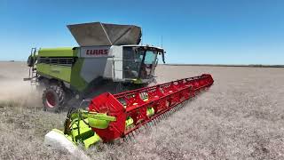 CLAAS LEXION 8800  Kym Berry  CLAAS Harvest Centre [upl. by Glendon]