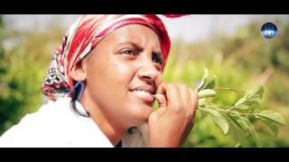 Negasi Tesfamariam  Segom  New Eritrean Music Video 2017 [upl. by Nuahc]