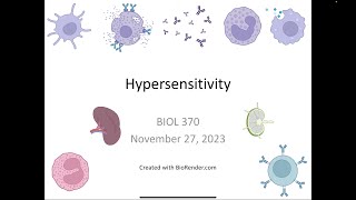 Immunology Fall 2023 Lecture 30 Hypersensitivity Part 1 [upl. by Annel]