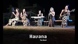 Lag ja gale  Instrumental Cover  HavanaTheBand  SoundSpirit [upl. by Suvart789]