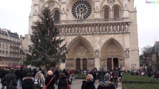 All bells ringing at Notre Dame Cathedral in Paris [upl. by Ecined]