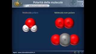 Citologia 04  Polarità delle molecole [upl. by Wildon]